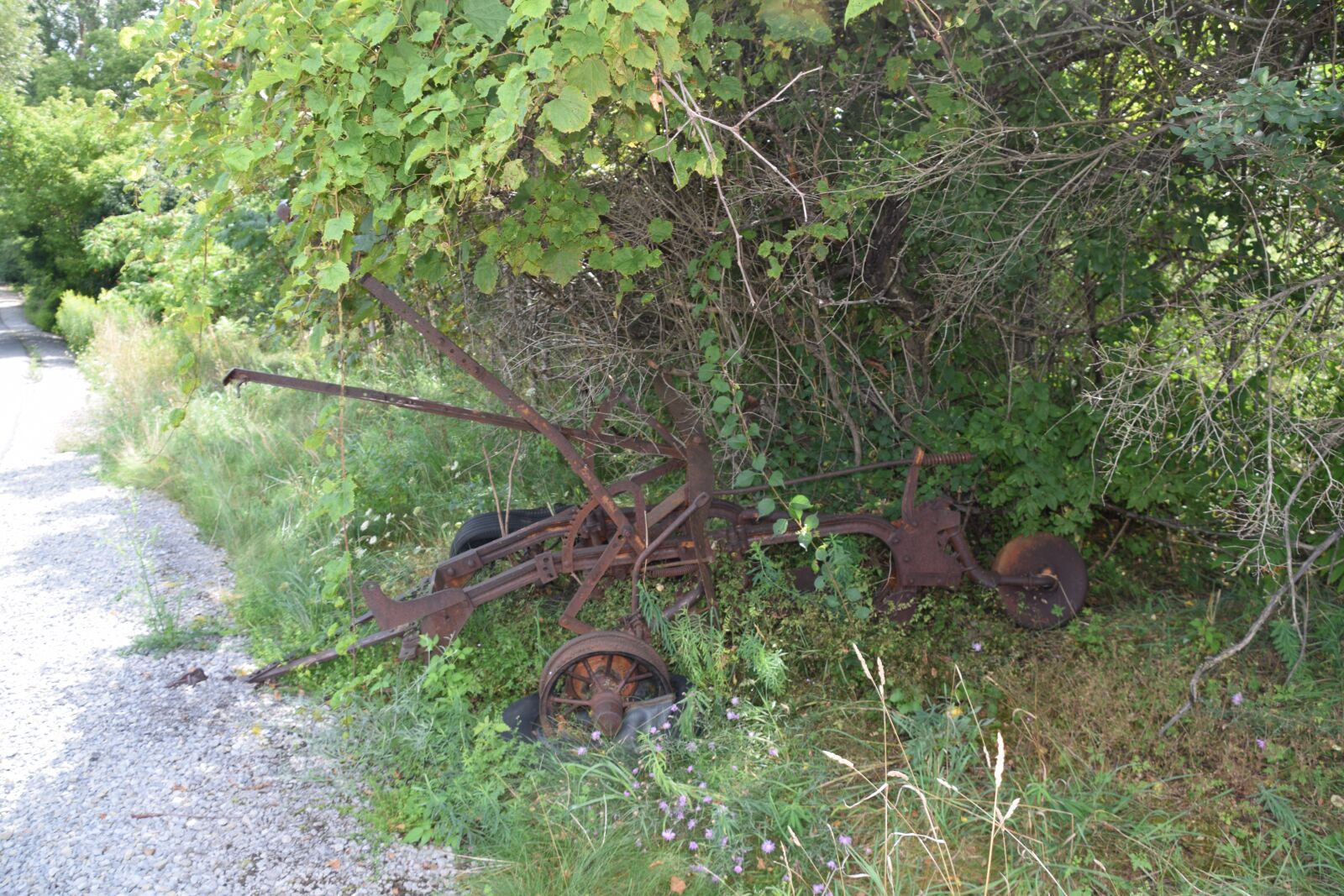 Nikon D5300 sample photo. Farm equipment, antique plow photography
