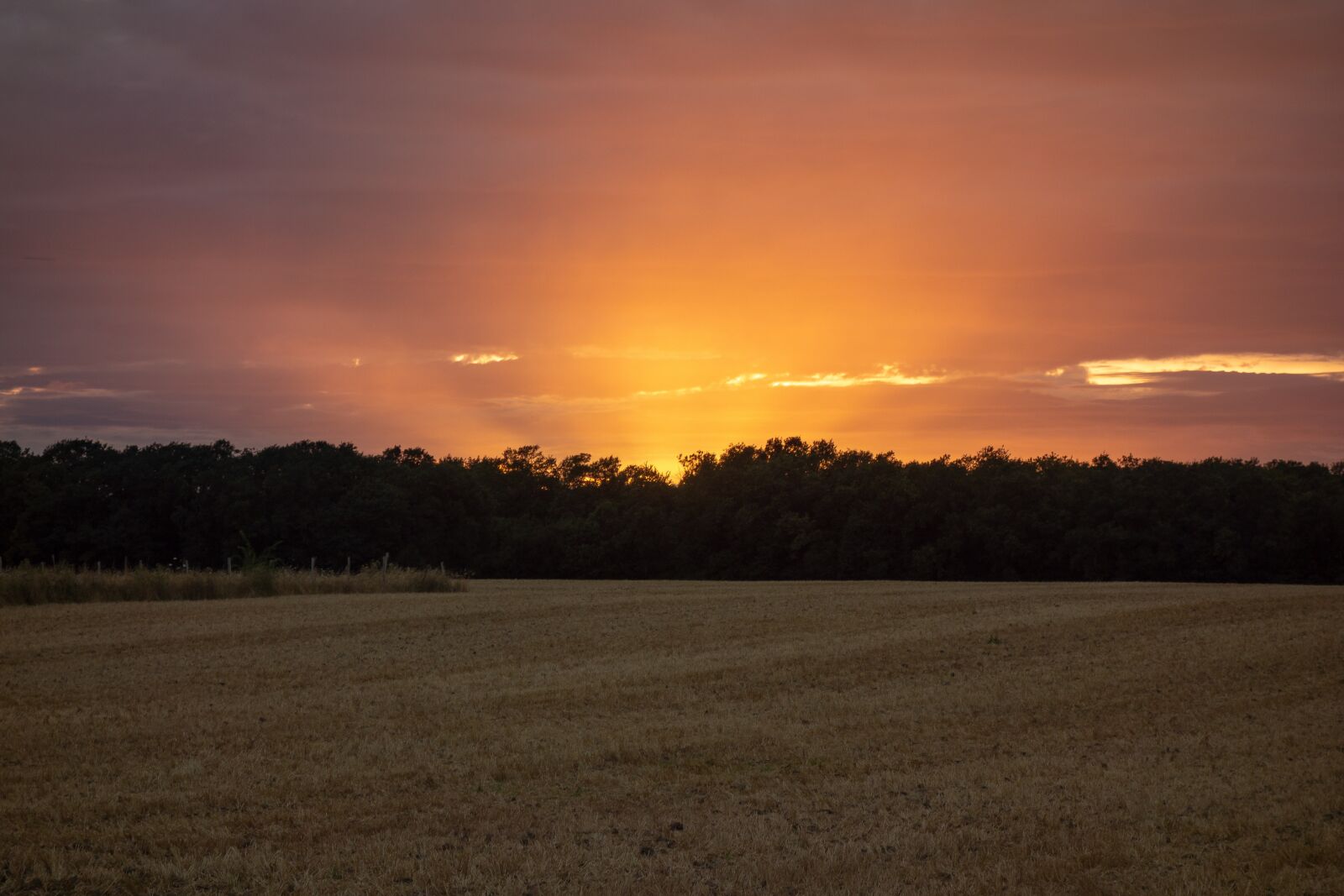 Sony Cyber-shot DSC-RX100 sample photo. Normandy, france, fields photography