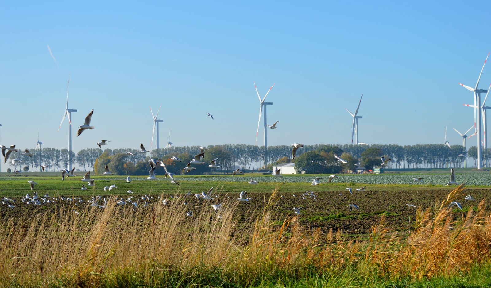 Nikon D3200 sample photo. North german landscape, field photography