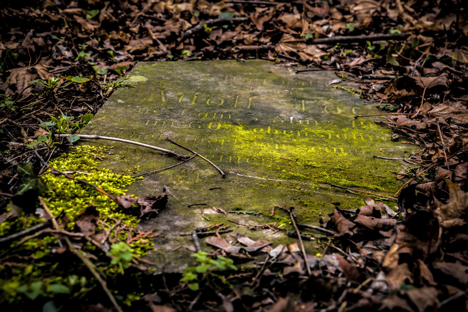 Canon EOS 70D sample photo. Tombstone, old, old cemetery photography
