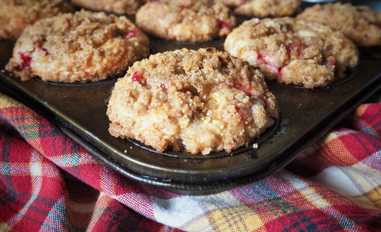 Olympus OM-D E-M10 sample photo. Cranberry muffins, muffin, cranberry photography