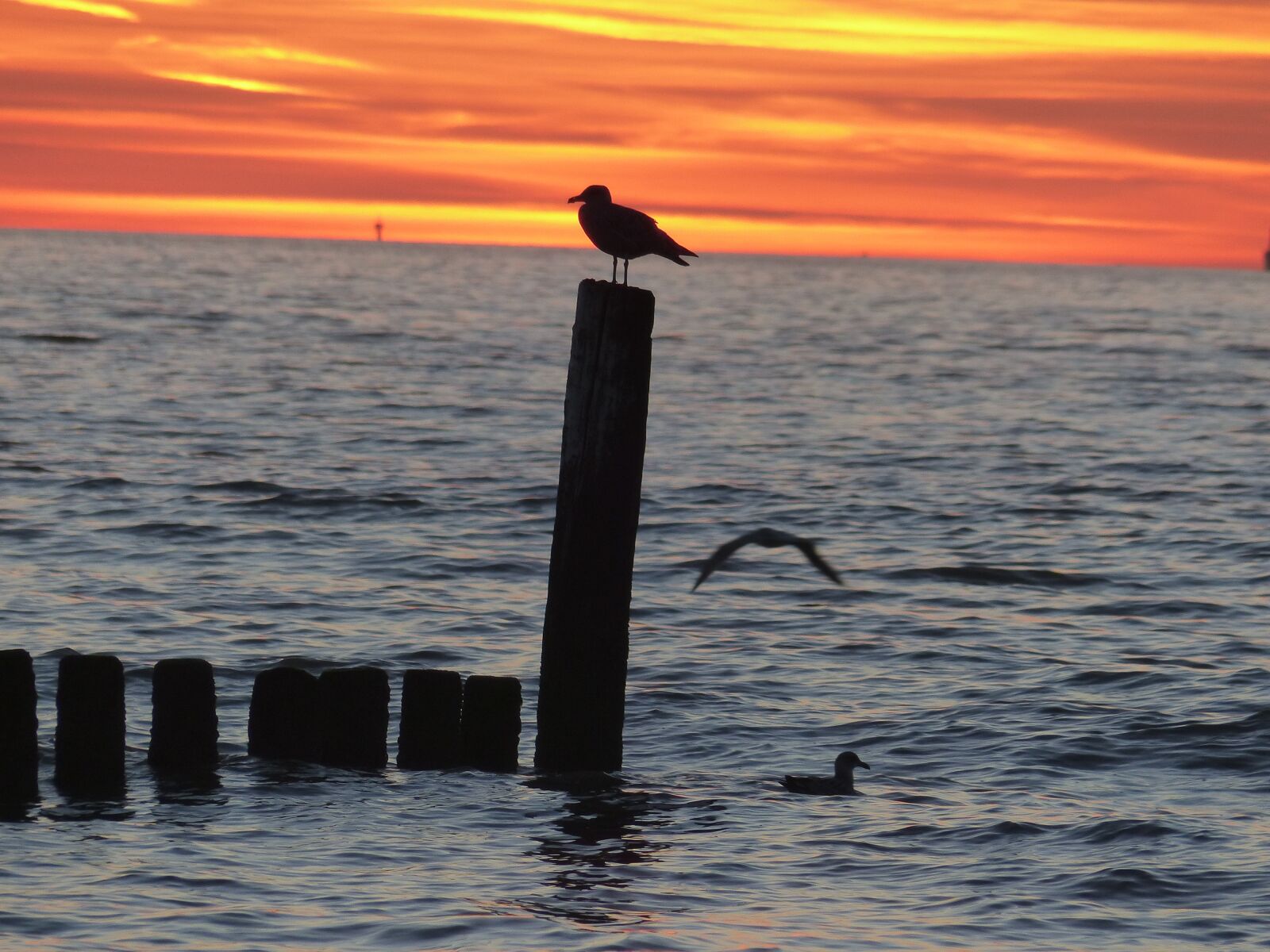 Panasonic Lumix DMC-FZ200 sample photo. Sea, sunset, abendstimmung photography