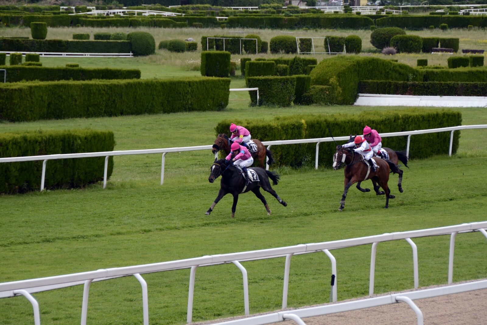 Nikon D7100 sample photo. Horse racing, racecourse, competition photography