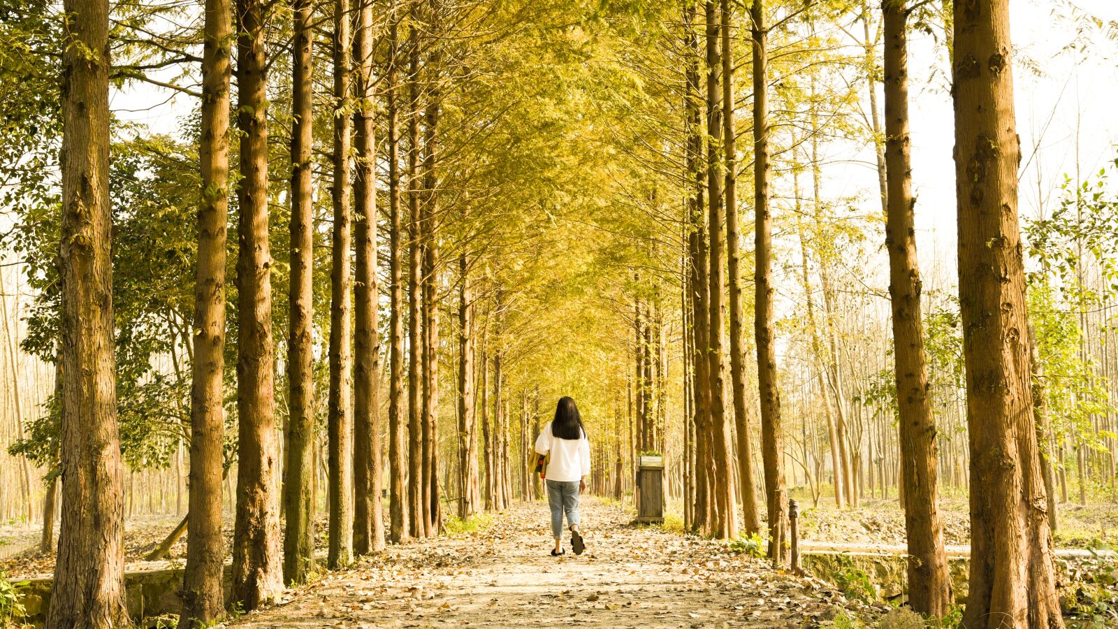 Nikon D750 sample photo. Girls, figure, woods photography