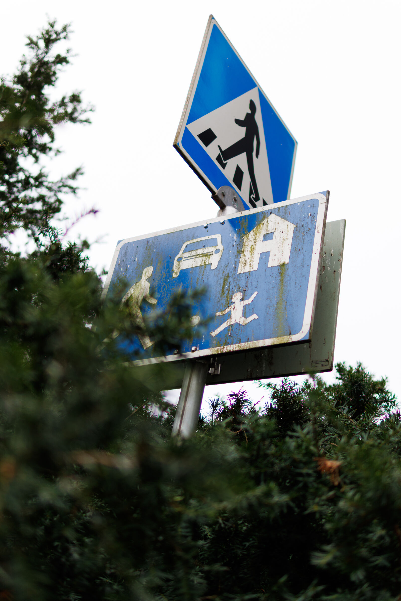 Canon EOS R7 sample photo. Pedestrian sign photography