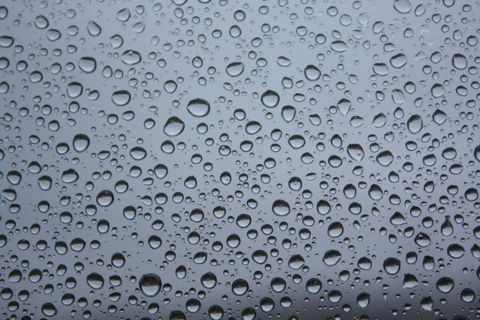Canon EOS 450D (EOS Rebel XSi / EOS Kiss X2) sample photo. Rain, pane, rain drops photography