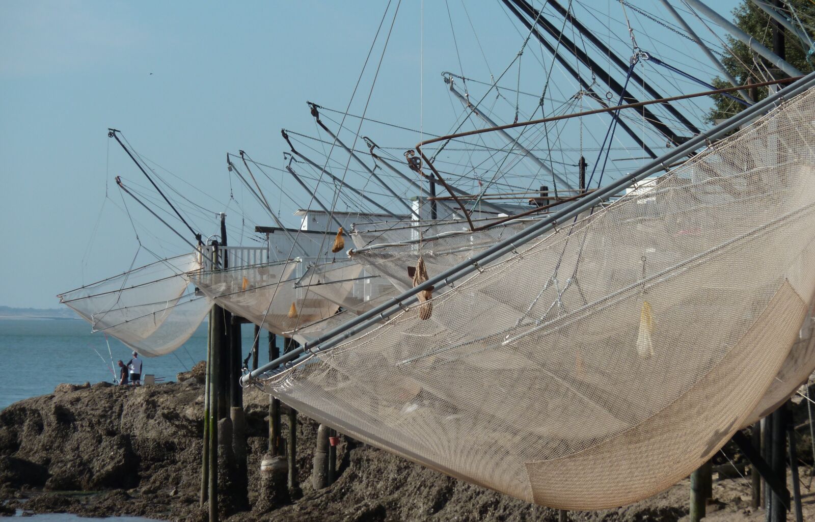 Panasonic Lumix DMC-ZS5 (Lumix DMC-TZ8) sample photo. Fishing, plaice, netting photography