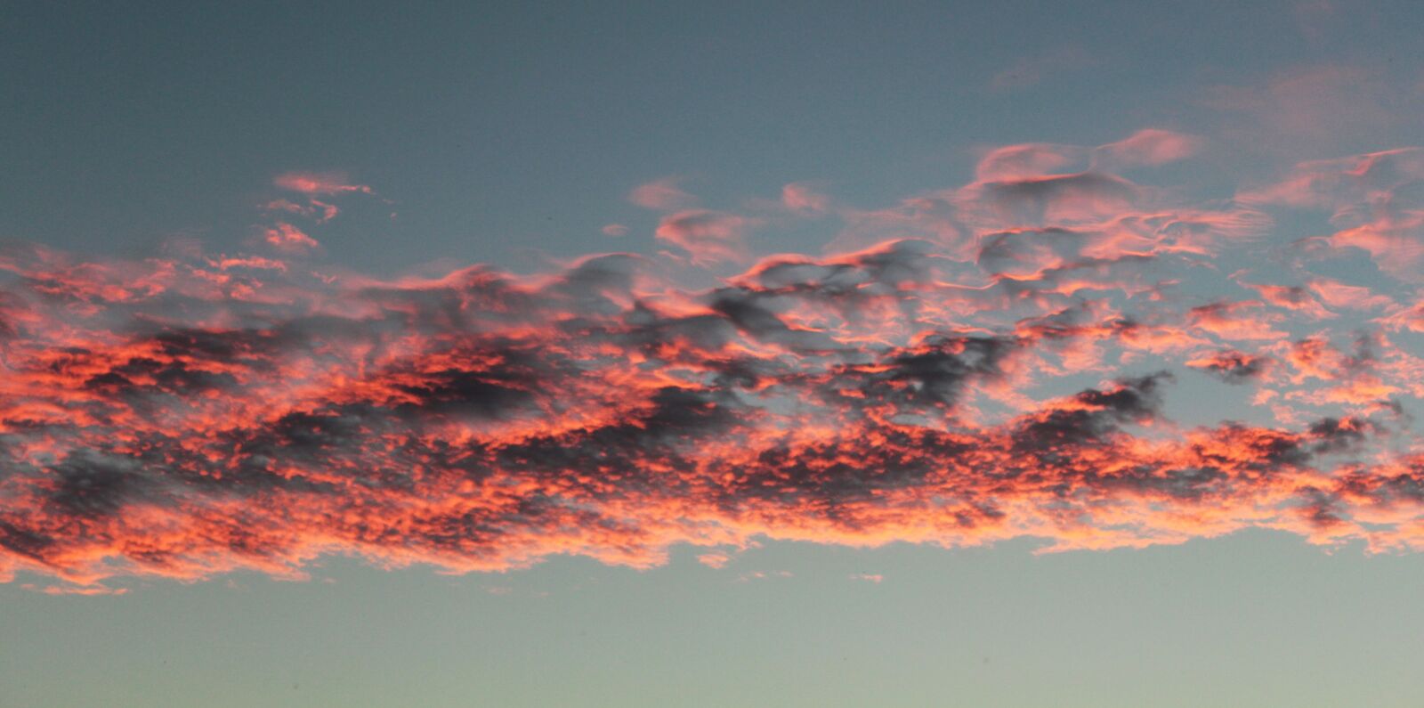 Canon EOS 1200D (EOS Rebel T5 / EOS Kiss X70 / EOS Hi) sample photo. Sky, cloud, red cloud photography