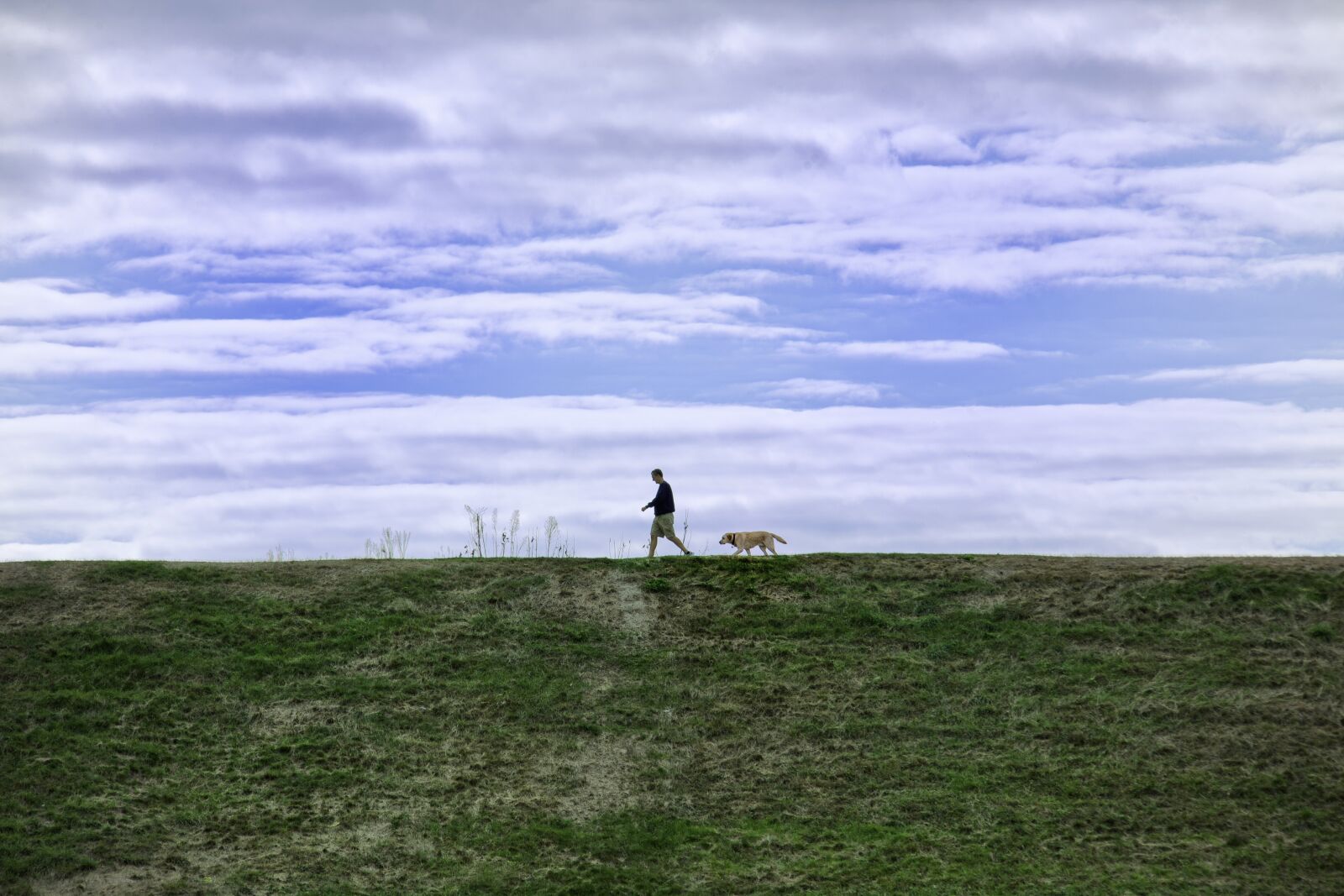Canon EF 28-300mm F3.5-5.6L IS USM sample photo. Man, dog, waling photography