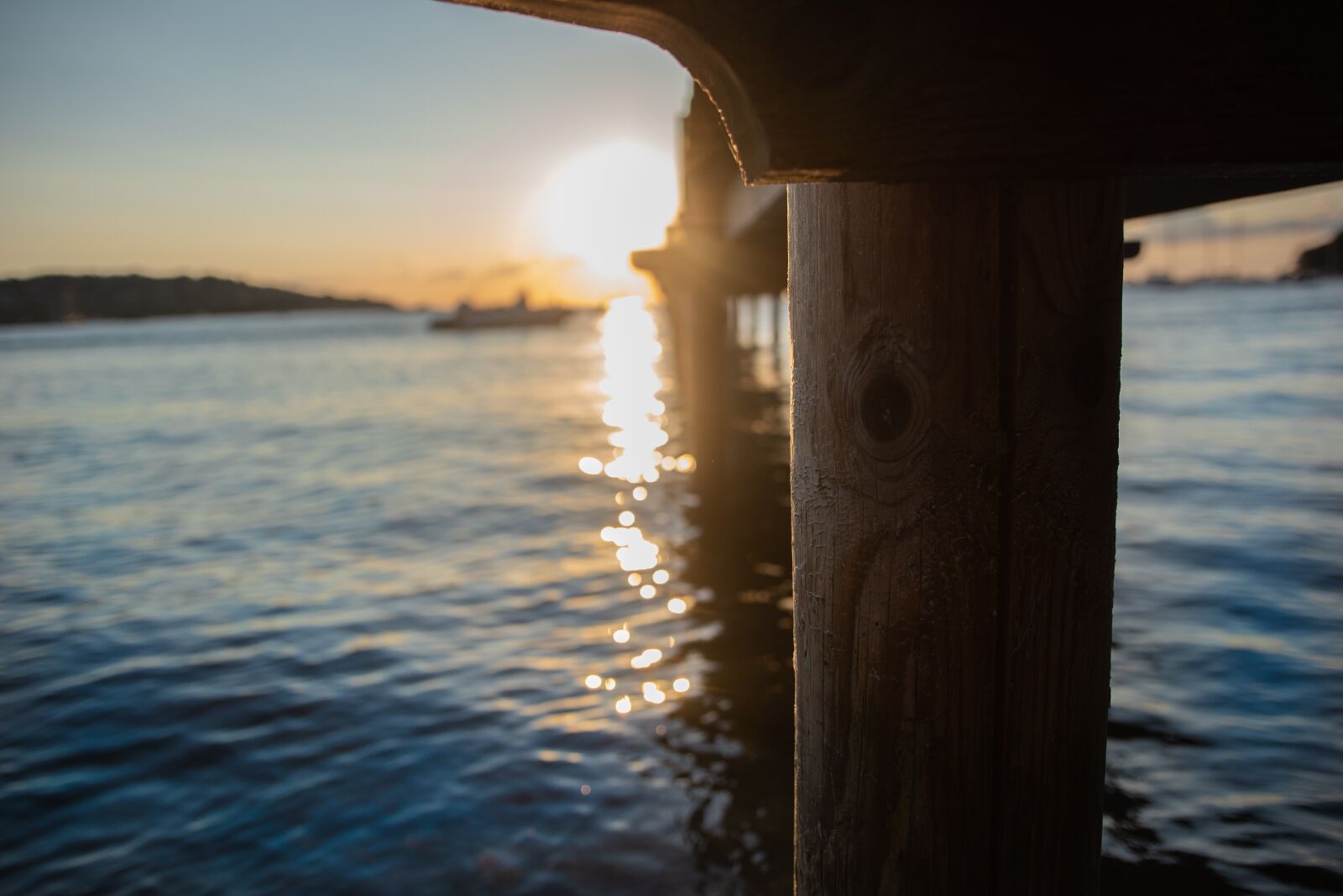 Nikon D5600 sample photo. Sun, sea, corsica photography