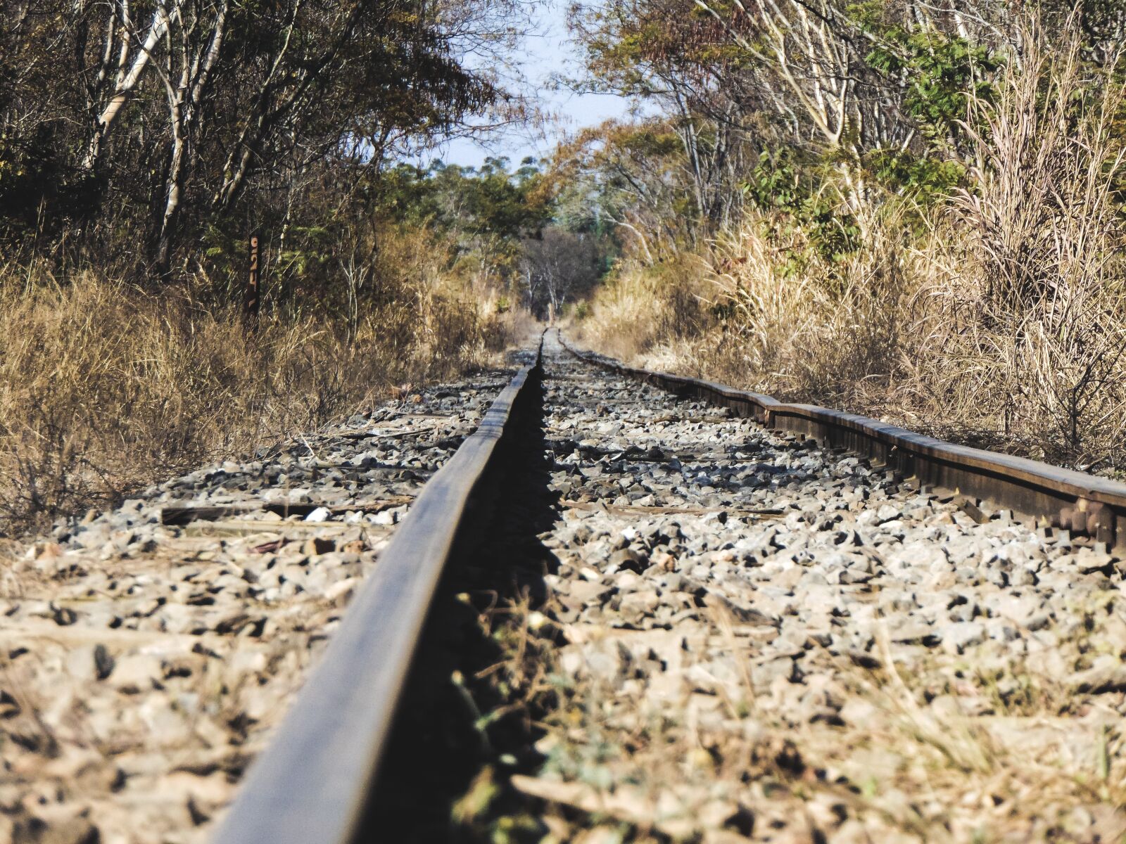 Sony Cyber-shot DSC-H300 sample photo. Trail, train, railroad photography