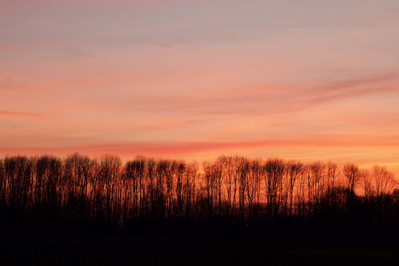 Canon EOS 500D (EOS Rebel T1i / EOS Kiss X3) sample photo. Evening red, evening, sunset photography