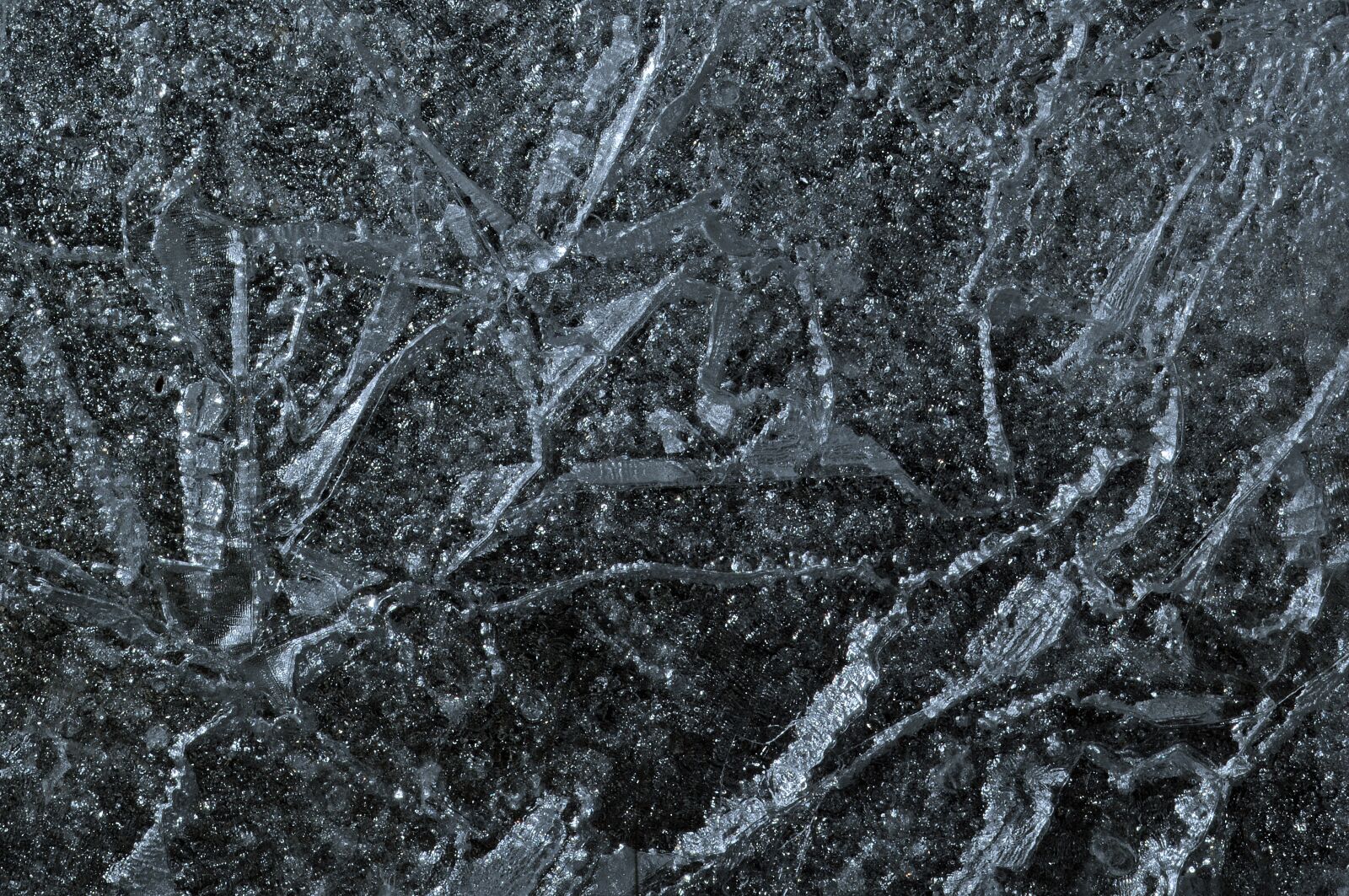 Nikon D300 sample photo. Ice rink, background, frozen photography