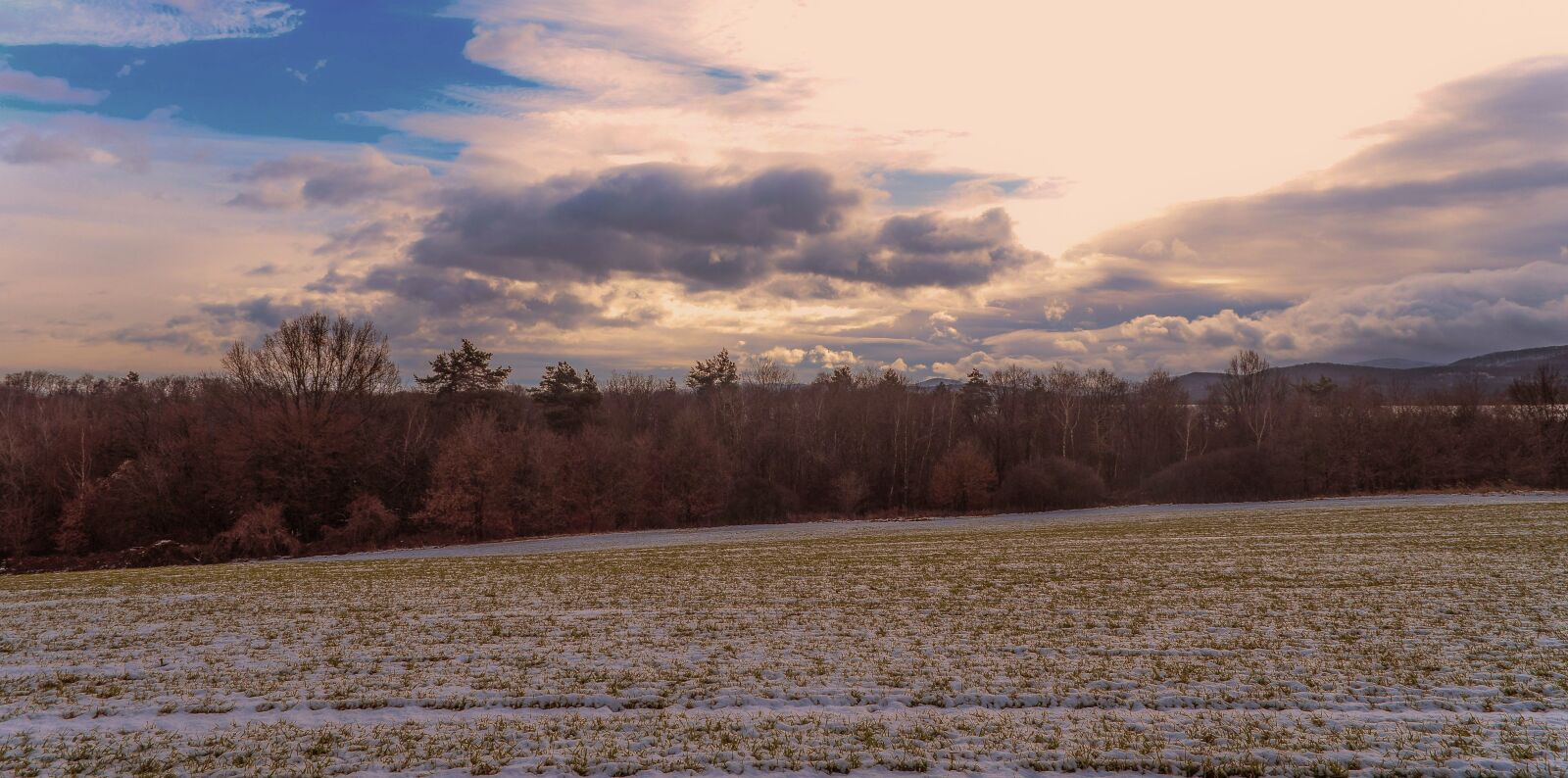 Nikon D5300 sample photo. Forests, trees, the sky photography