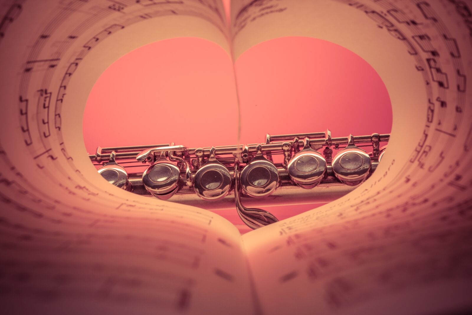 Canon EOS 70D sample photo. Flute, musical instrument, silver photography