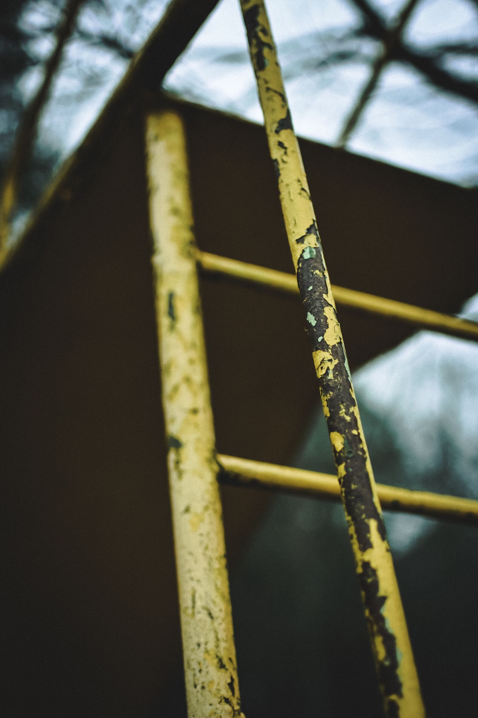 Nikon D7200 sample photo. Yellow, steps, ladder photography