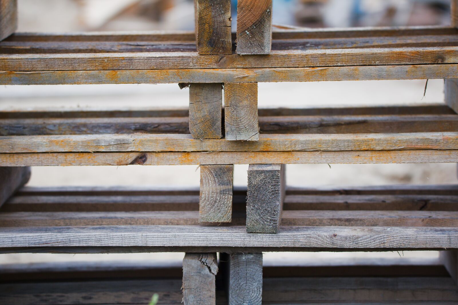 Canon EOS 6D sample photo. Wood, industry, old photography