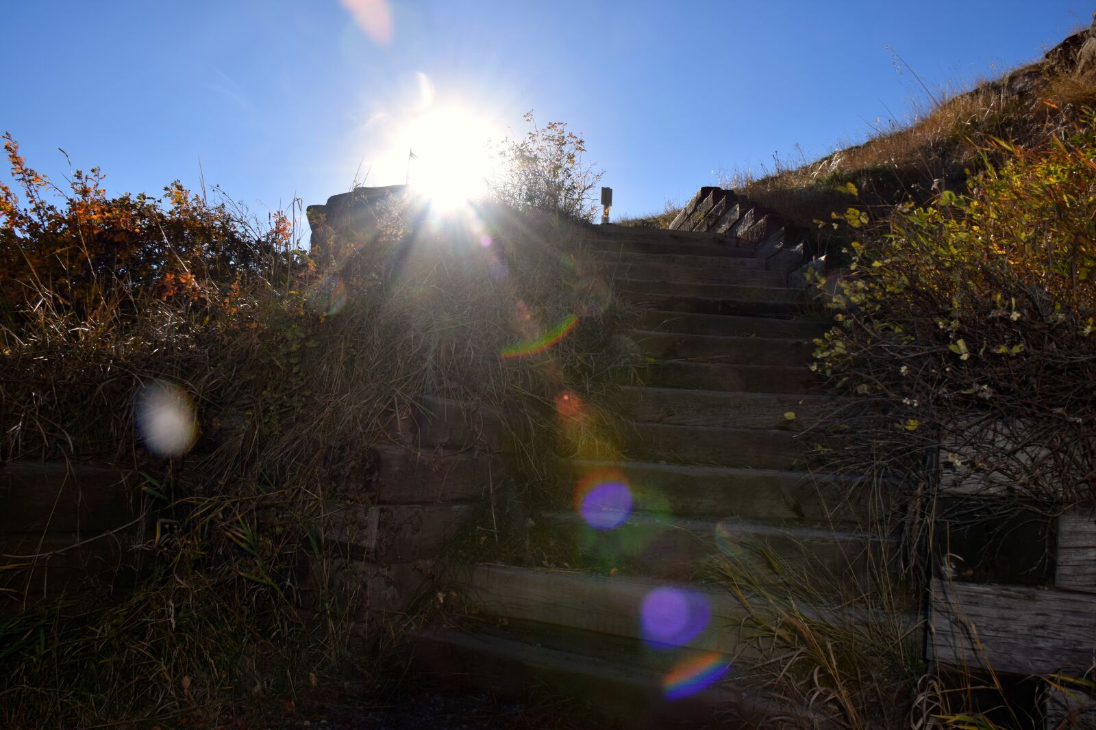 Nikon D5300 sample photo. Alberta, canada, hiking, trail photography