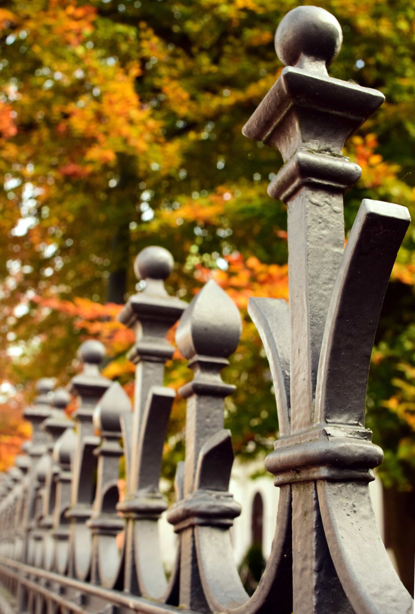 Nikon D3300 sample photo. Fence, metal, iron, wood photography