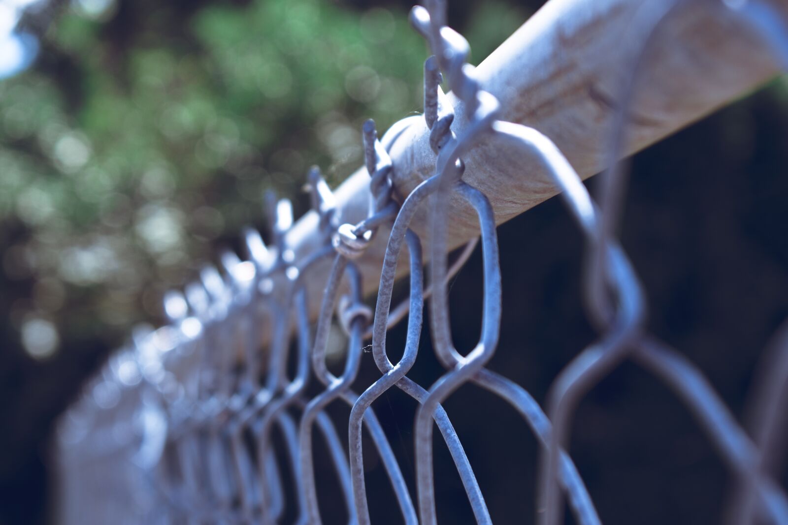 Nikon D5600 sample photo. Chain, fence, steel photography