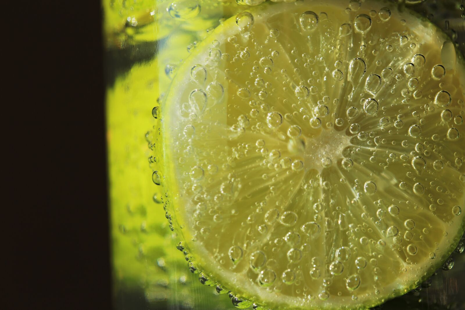 Canon EF 100mm F2.8L Macro IS USM sample photo. Lime, fruit, citrus photography