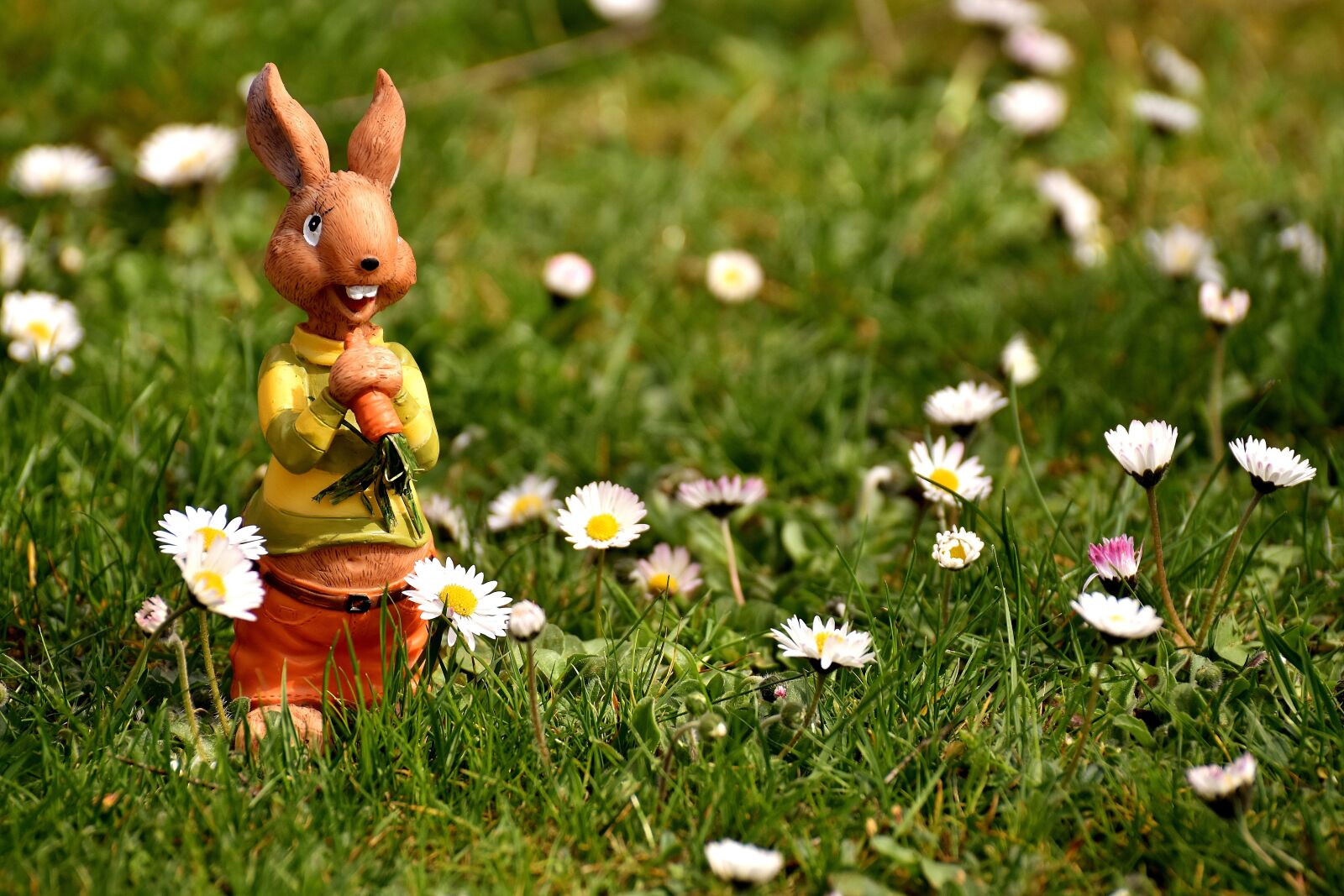 Nikon D7200 sample photo. Hare, figure, ceramic photography