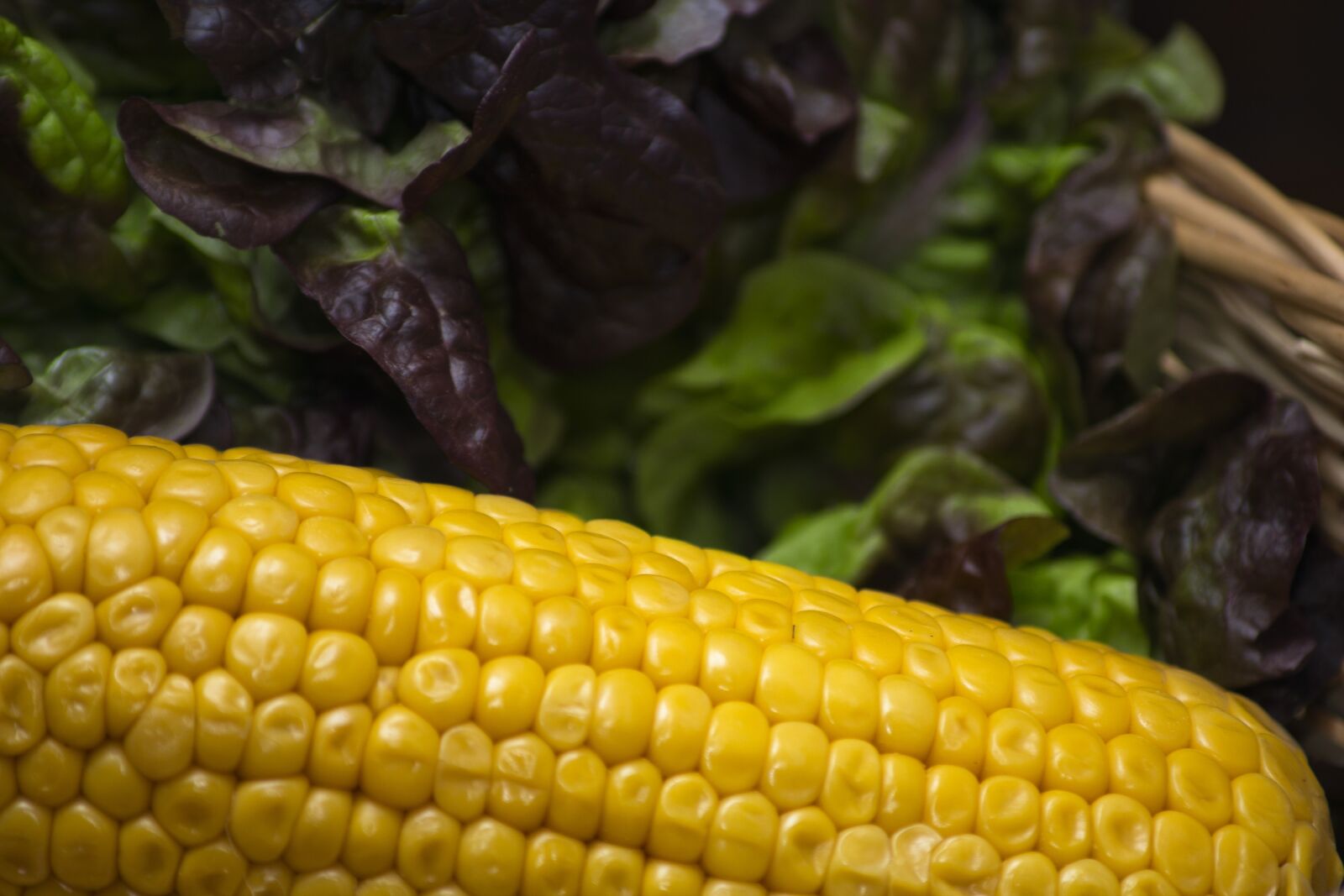 Canon EOS 600D (Rebel EOS T3i / EOS Kiss X5) sample photo. Corn, lettuce, healthy photography