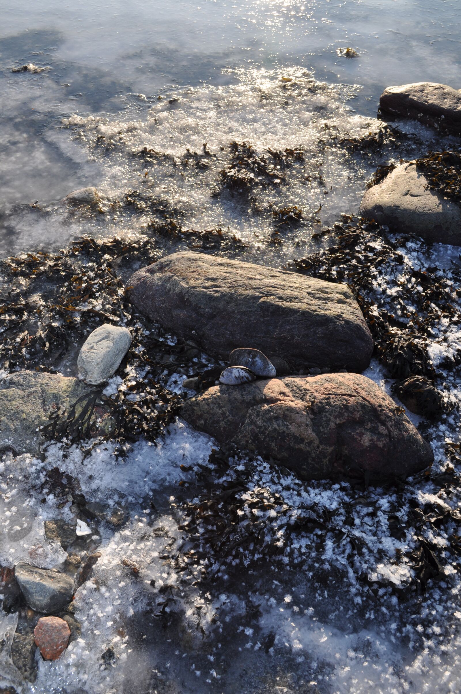 Nikon D5000 sample photo. Frost, beach, ice photography