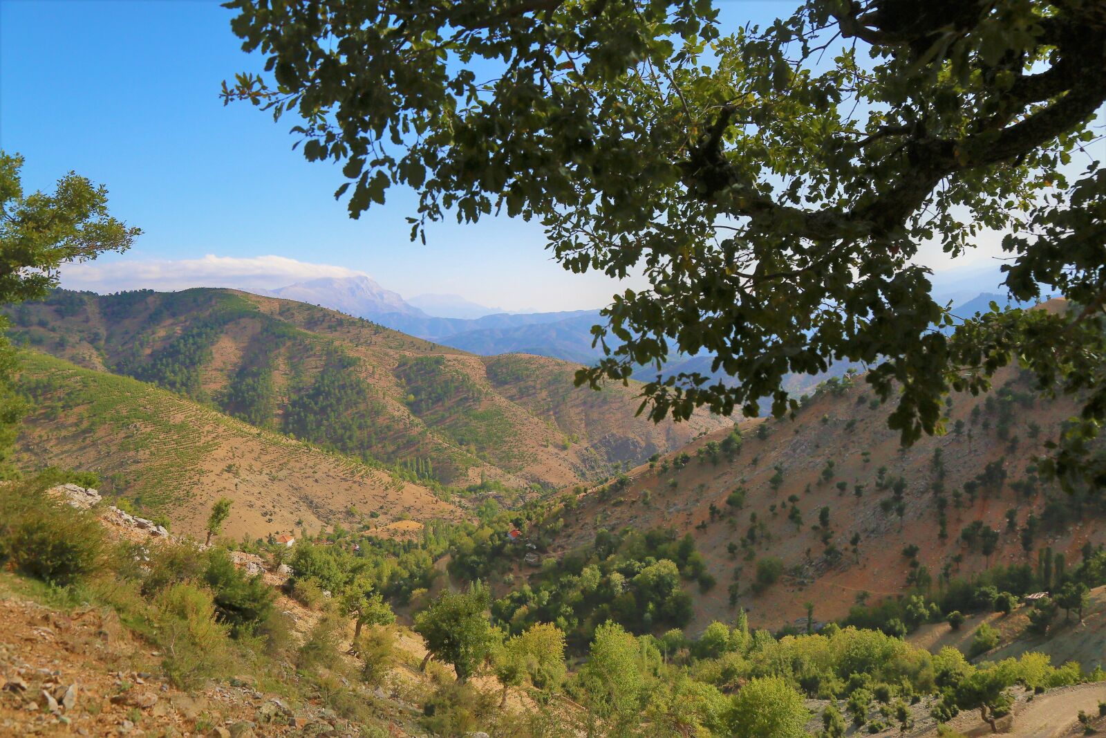 Canon EF 24-105mm F4L IS USM sample photo. Mountains, trees, valley photography