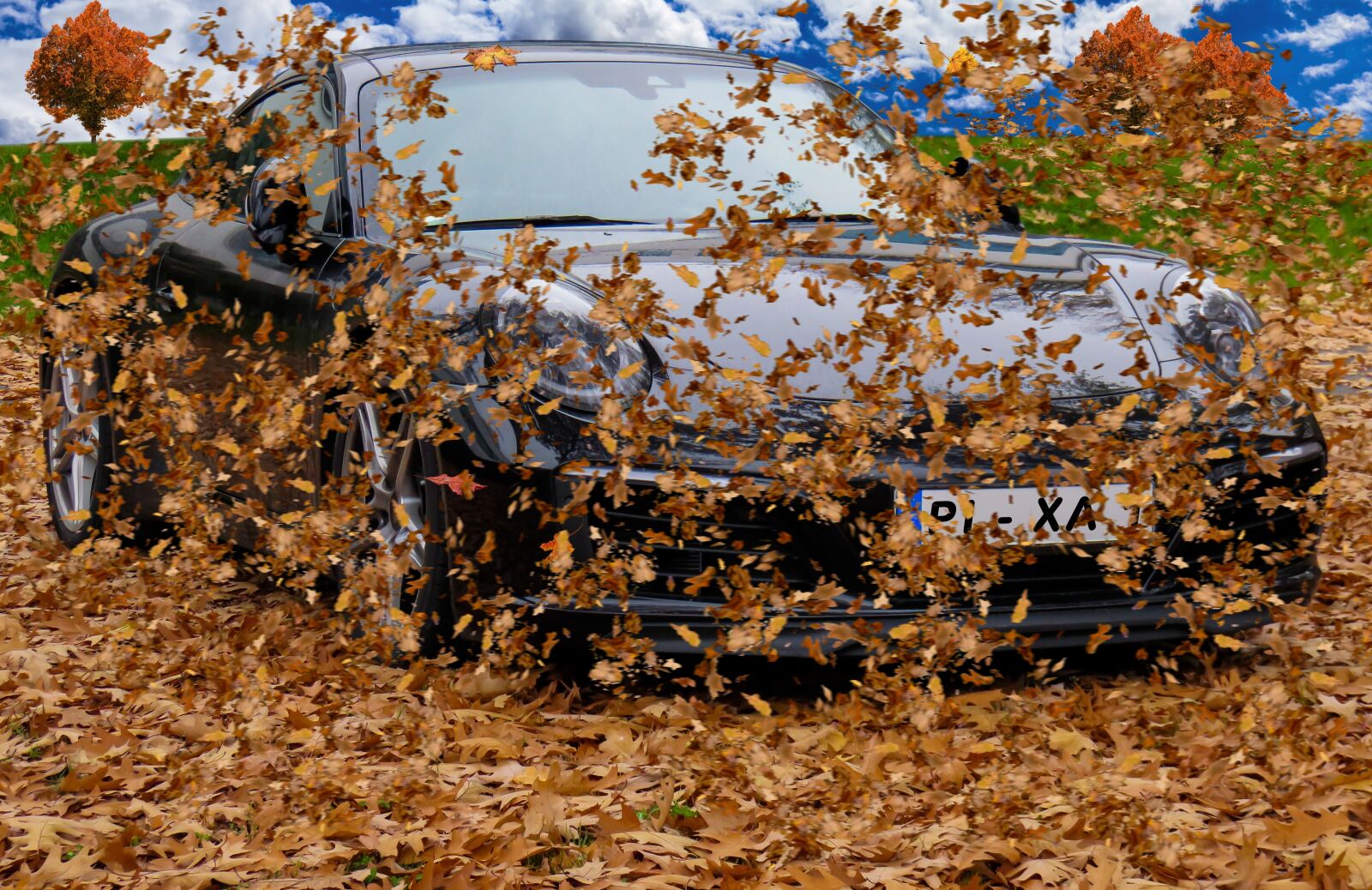 Canon PowerShot SX710 HS sample photo. Autumn, leaves, wind photography
