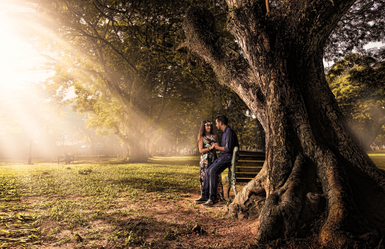 Canon EF 16-35mm F2.8L II USM sample photo. Tree, nature, outdoors photography