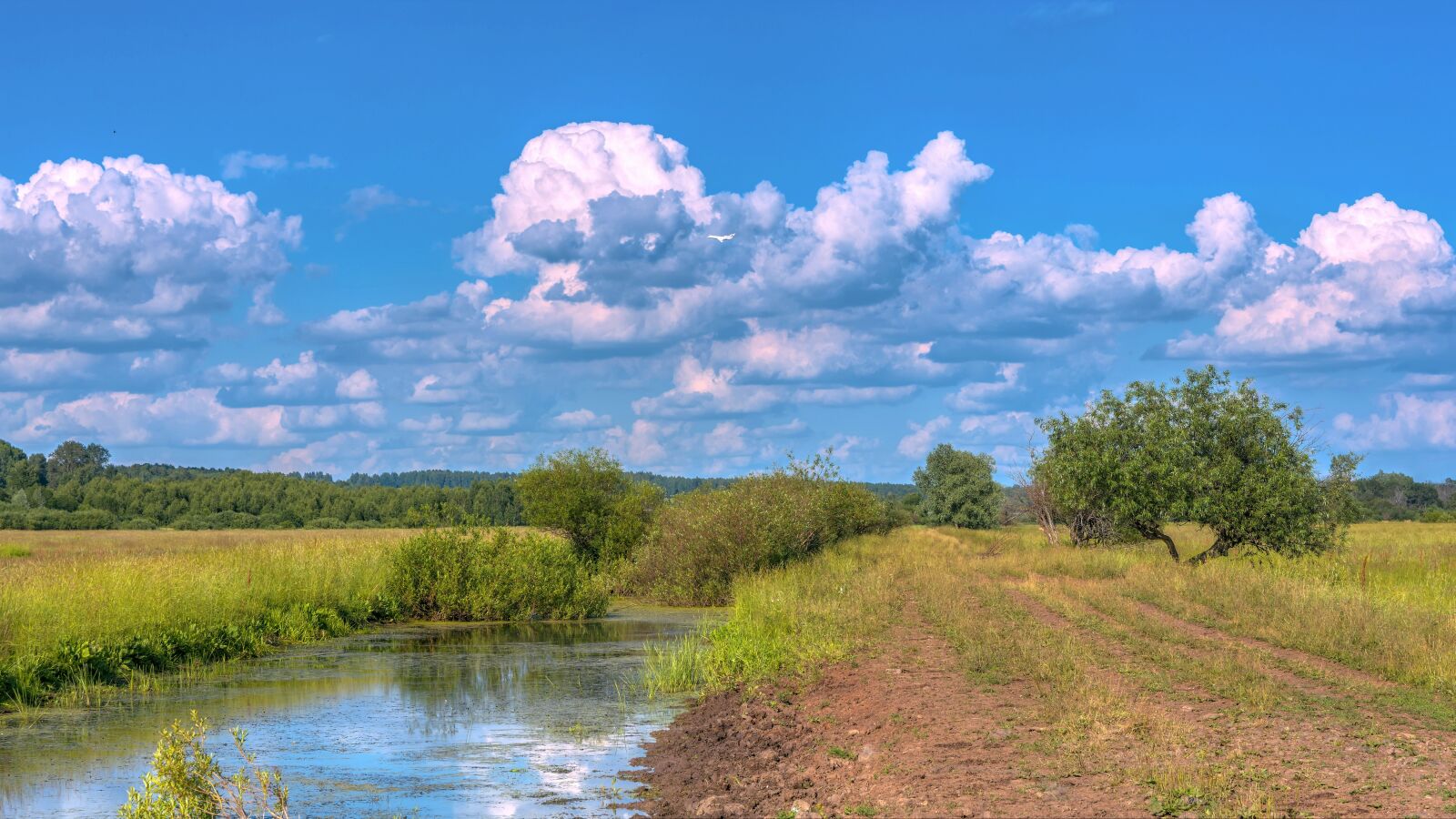 Nikon D7200 sample photo. Landscape, nature, clouds photography