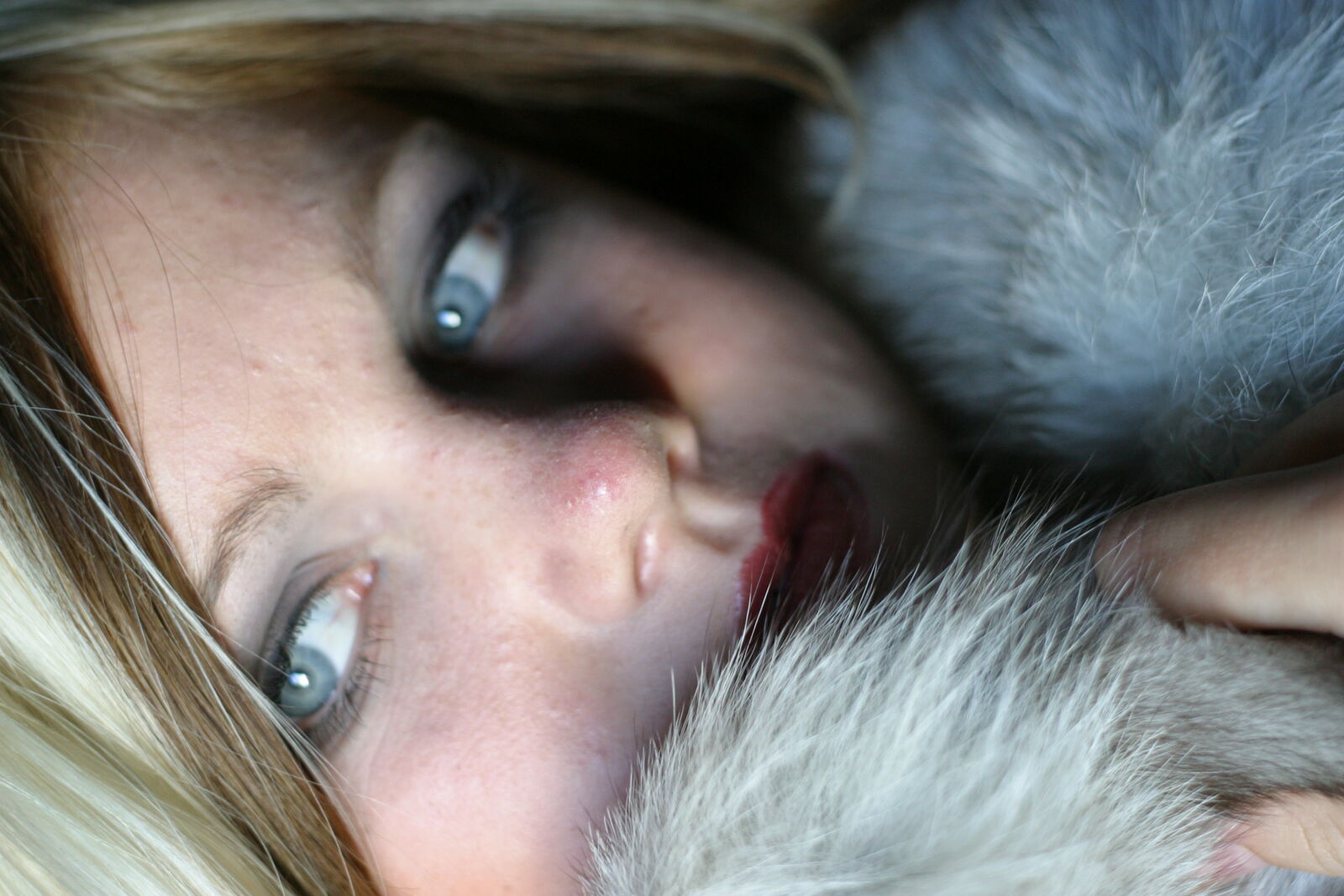 Canon EOS D60 sample photo