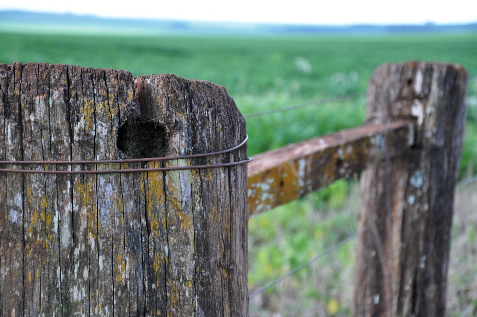 Nikon D90 sample photo. About, wood, vintage photography