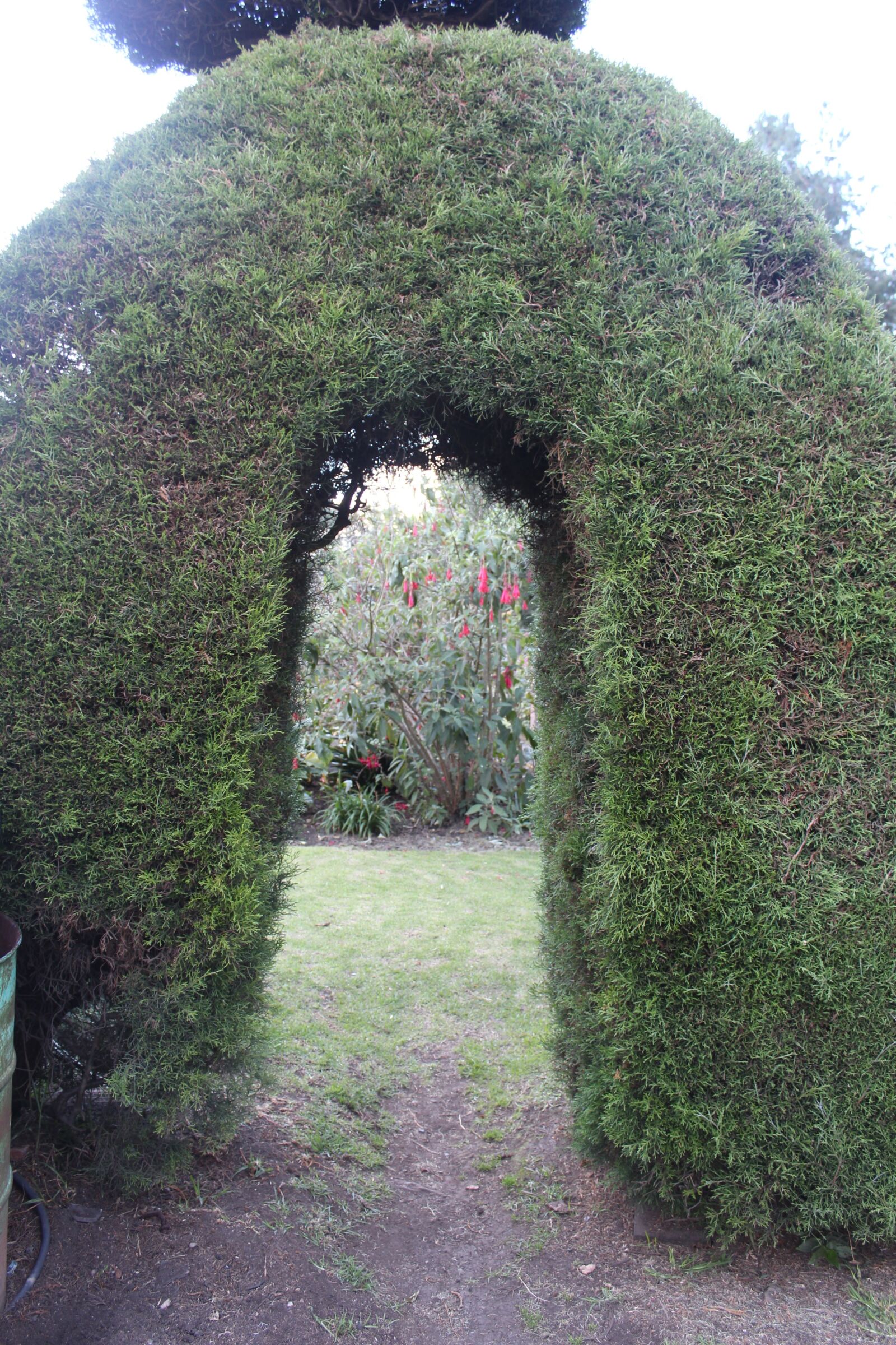 Canon EOS 1200D (EOS Rebel T5 / EOS Kiss X70 / EOS Hi) sample photo. Bogota, flowers, grass, arch photography