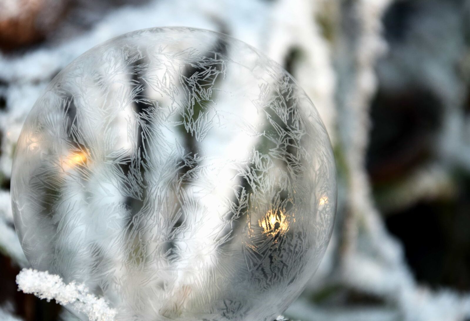 Nikon D3300 sample photo. Nature, winter, ice, reflection photography