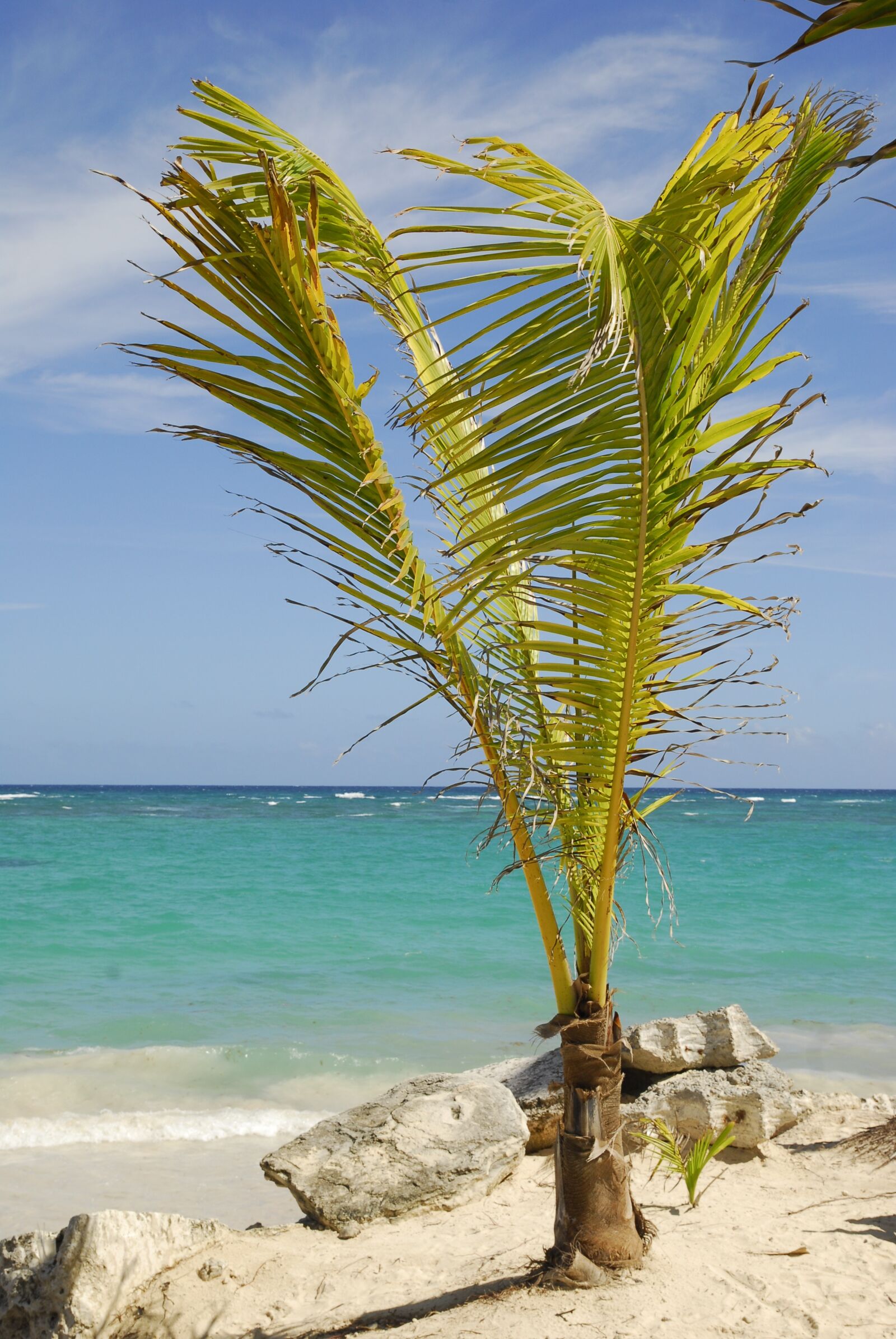 Nikon D200 sample photo. Dom rep, dominican republic photography