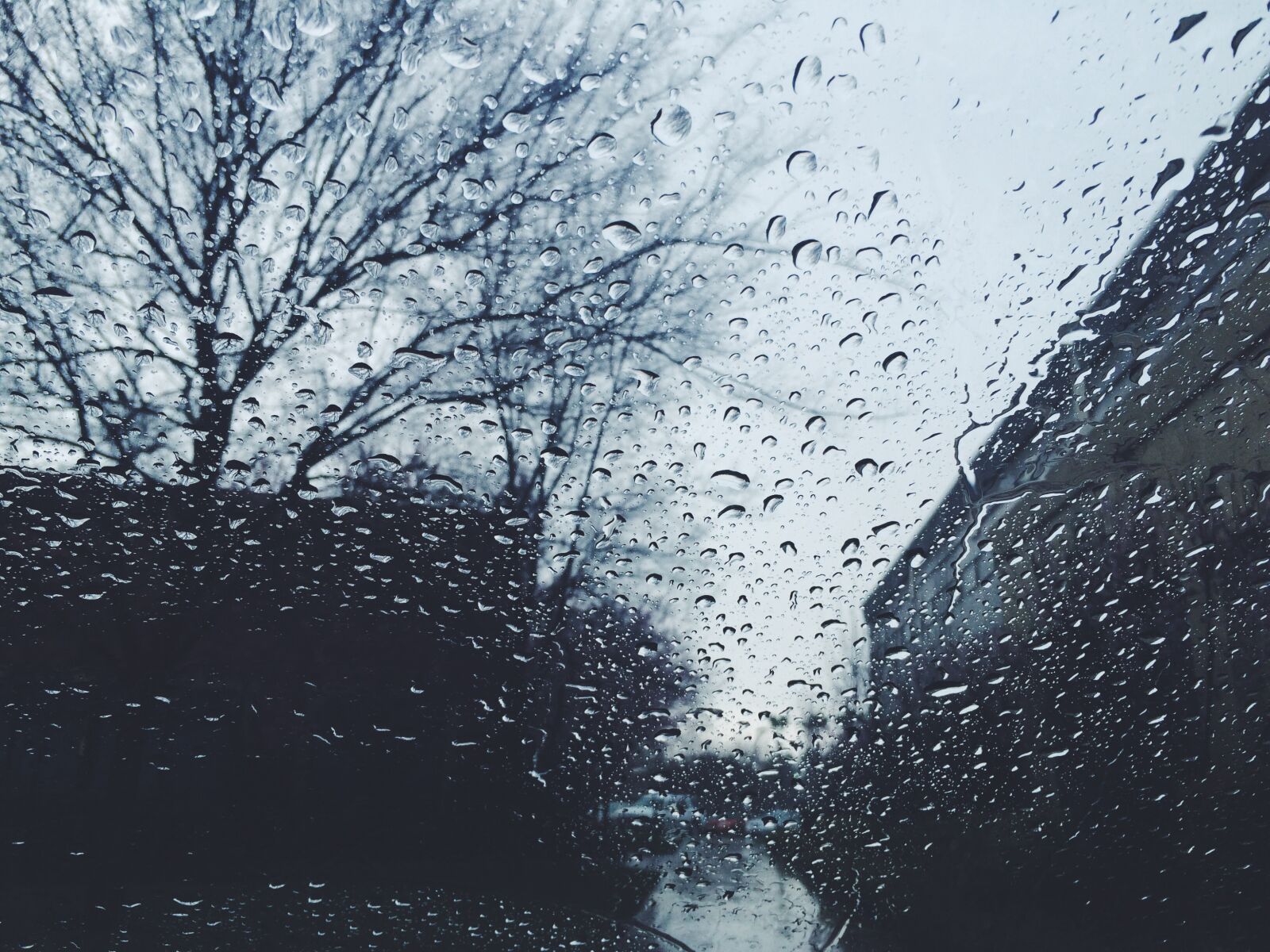 Apple iPhone 5s sample photo. Fresno, rain, raindrops, weather photography