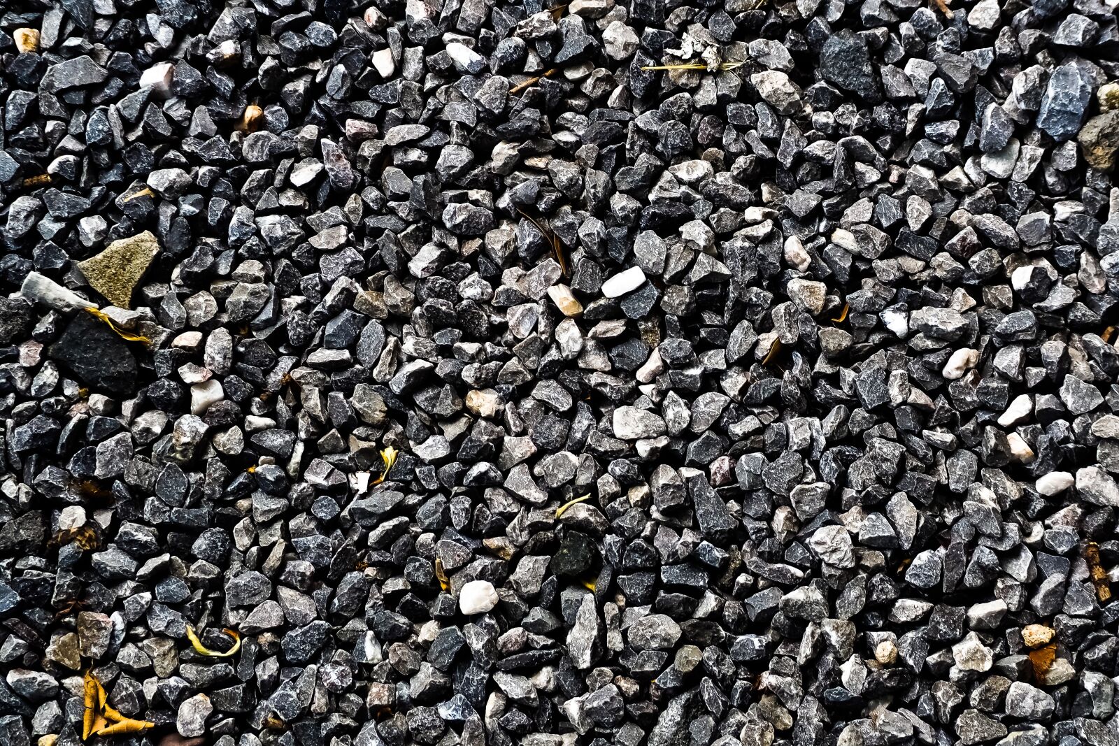 Olympus OM-D E-M10 sample photo. Stones, gravel, pebbles photography