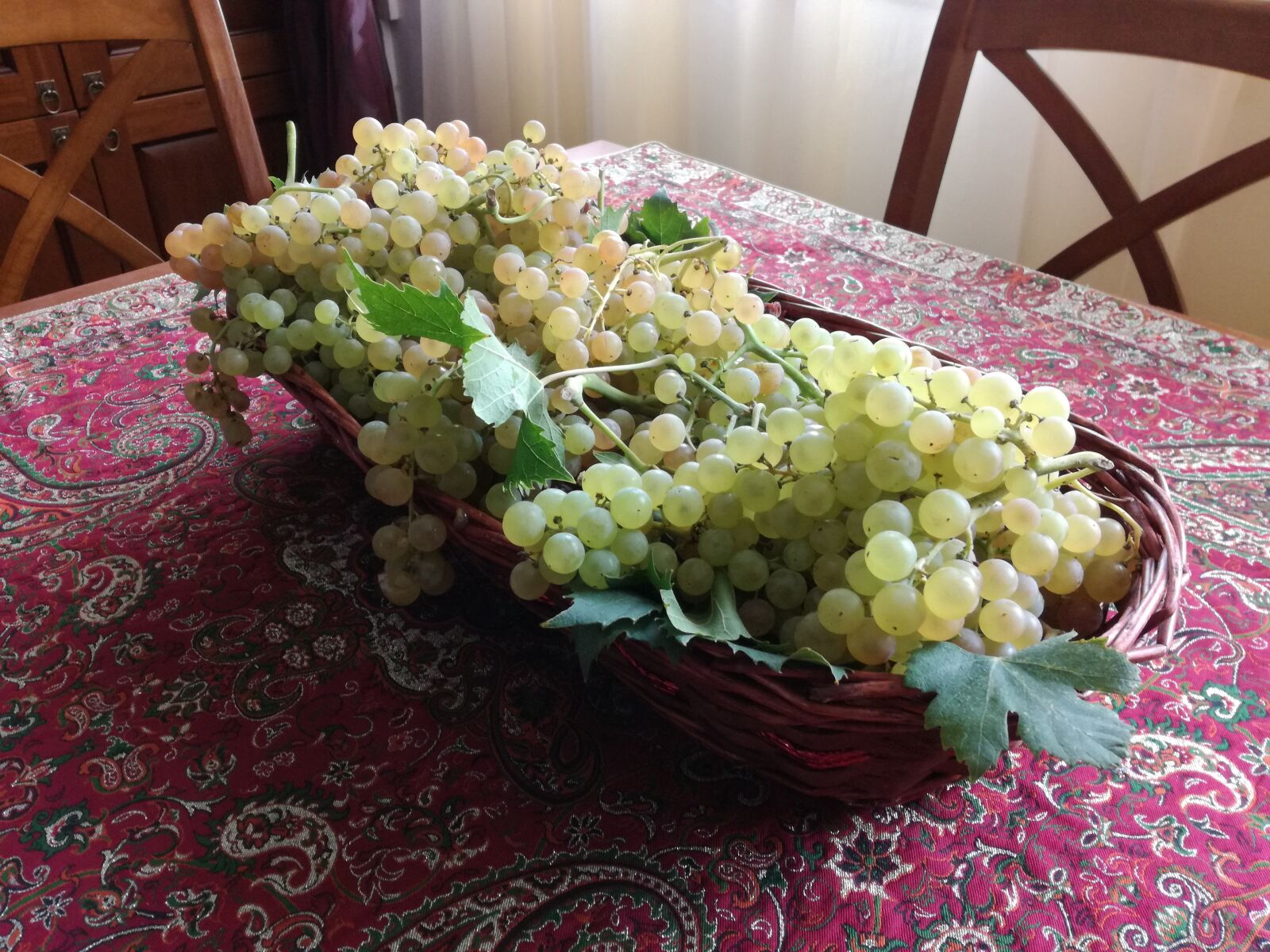 HUAWEI P9 LITE sample photo. Trash, grapes, fruit photography