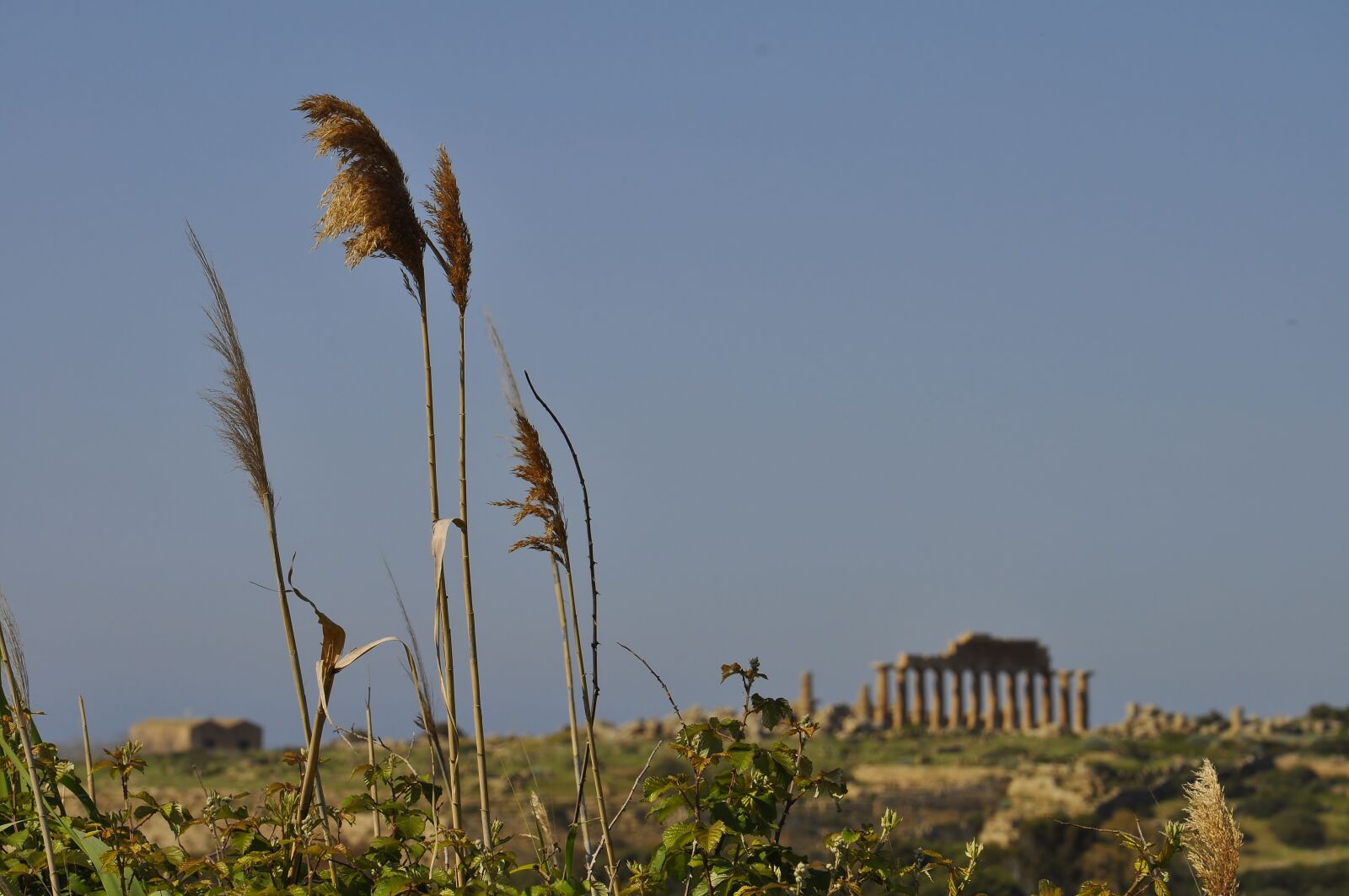 Nikon D5000 sample photo. Sicily, temple, summer photography