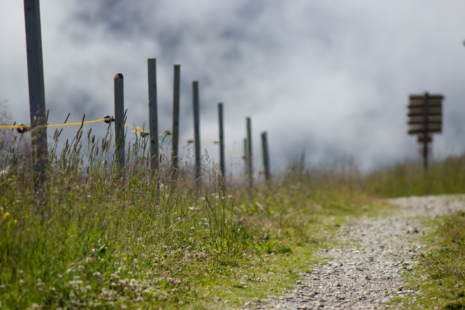 Canon EOS 600D (Rebel EOS T3i / EOS Kiss X5) sample photo. Away, field, landscape photography