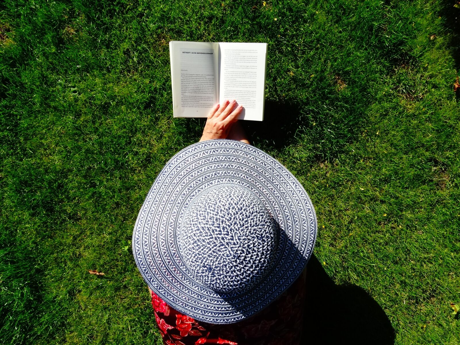 Sony Cyber-shot DSC-HX300 sample photo. Hat, read, summer photography