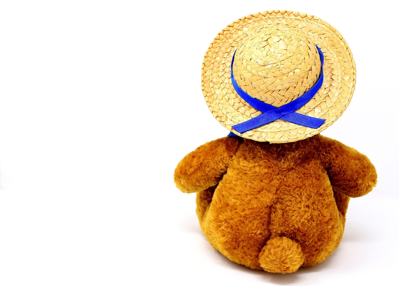 Nikon D7200 sample photo. Teddy, farewell, stuffed animal photography