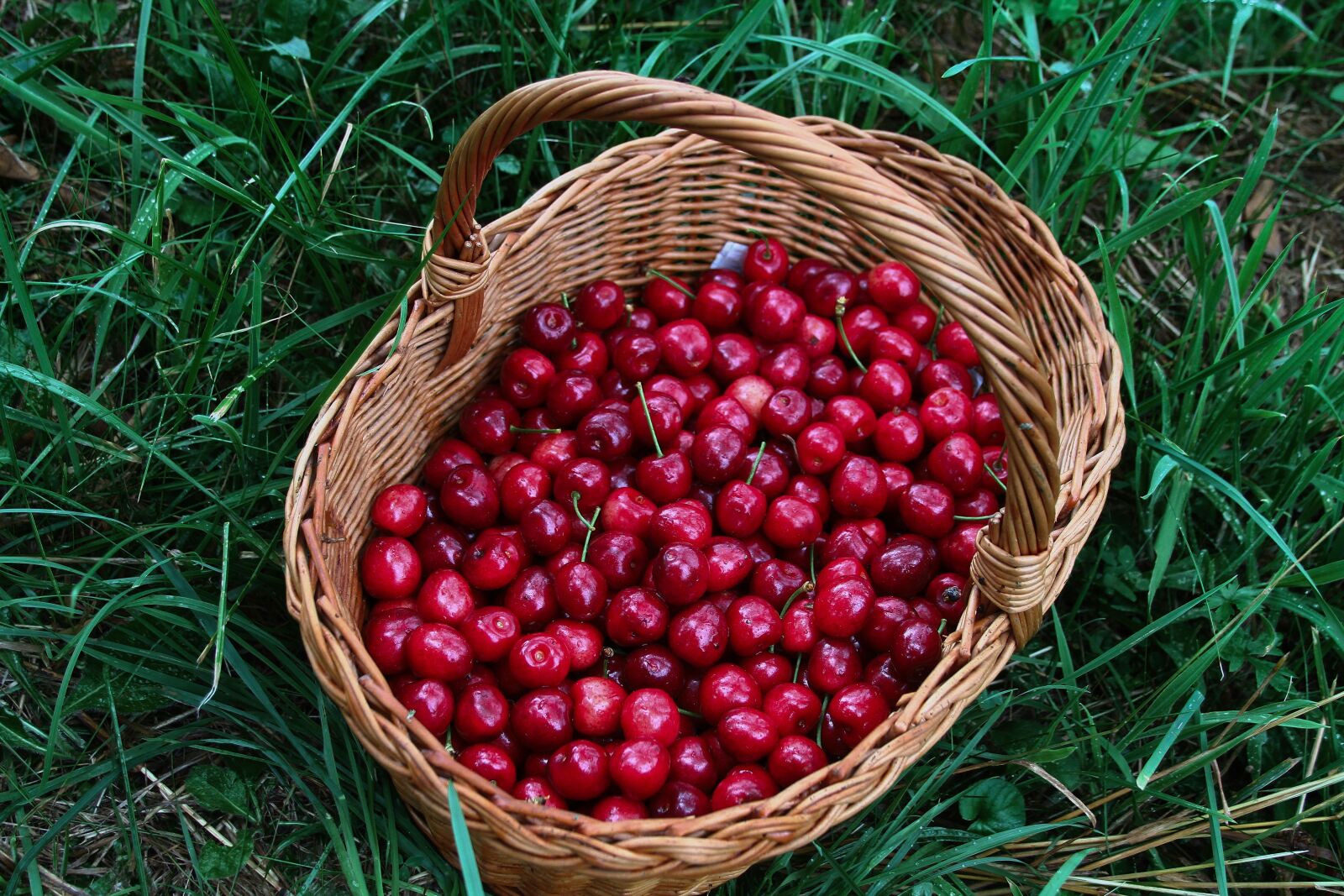 Canon EOS 7D + Canon EF 28-135mm F3.5-5.6 IS USM sample photo. Cherries, fruit, cherry photography