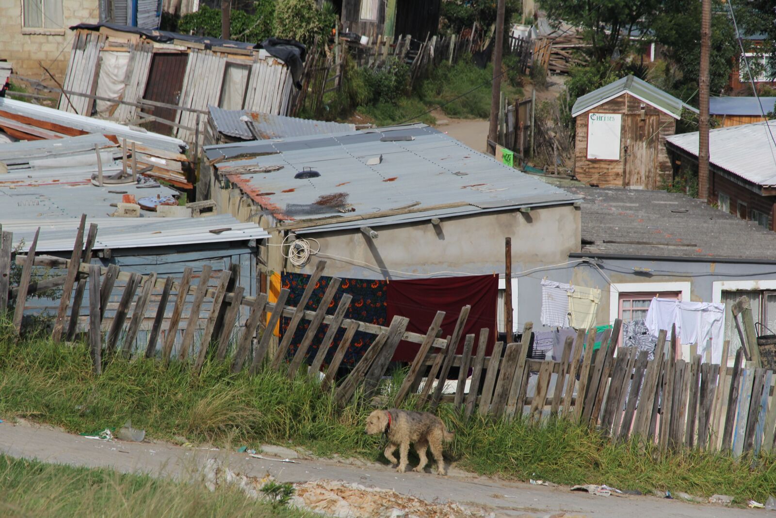 Canon EOS 60D sample photo. Township, knysna, south africa photography