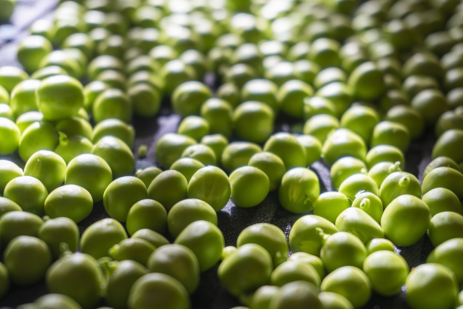 Sony a6300 sample photo. Peas, green, nutrition photography