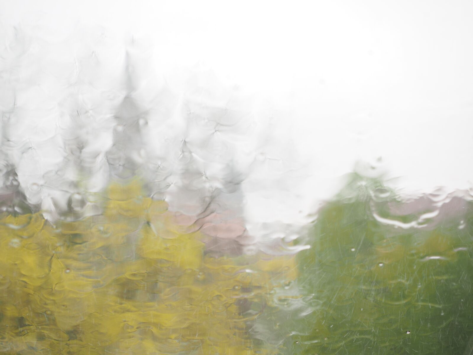 Olympus OM-D E-M1 + Olympus M.Zuiko Digital ED 12-40mm F2.8 Pro sample photo. Rainy weather, ulm, rain photography
