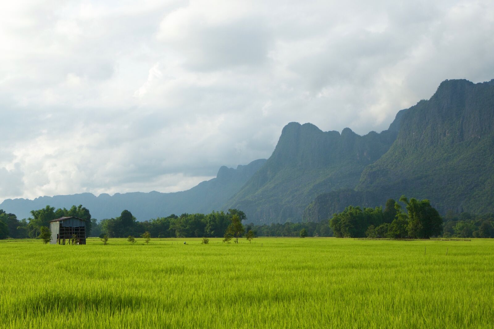 Canon EOS 60D sample photo. Laos, rice paddies, green photography