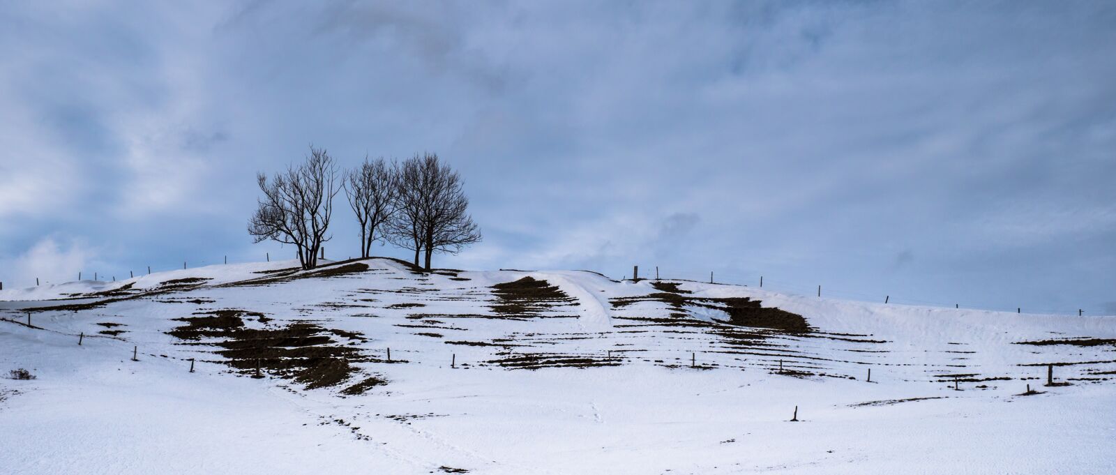 Panasonic Lumix DC-G9 sample photo. Landscape, snow landscape, snow photography